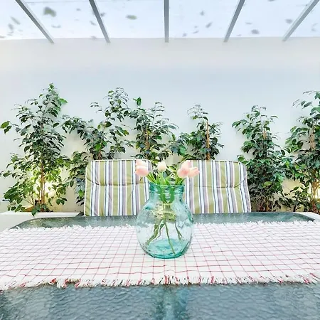 Magpie's Nest Appartement